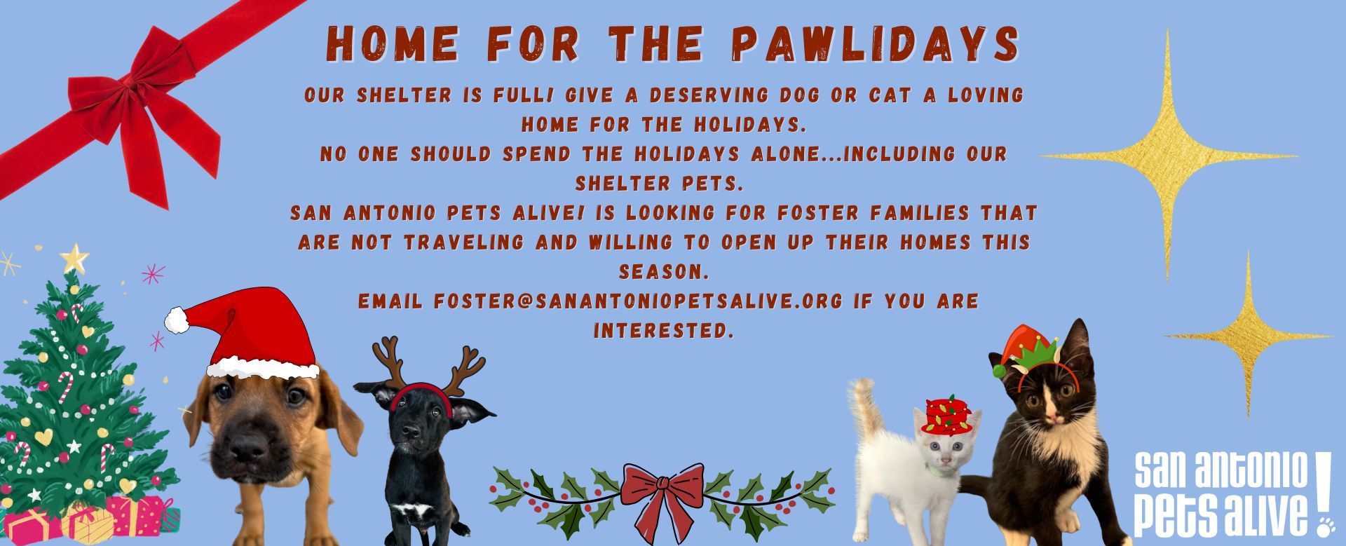 Home for the Pawlidays