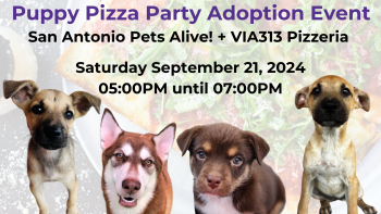 SAPA! Puppy Pizza Party - Adoption Event at VIA313