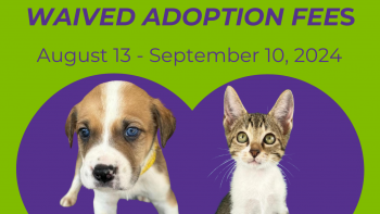 SAPA! Pet Adoption Event at Petco San Pedro - Waived Adoption Fees!