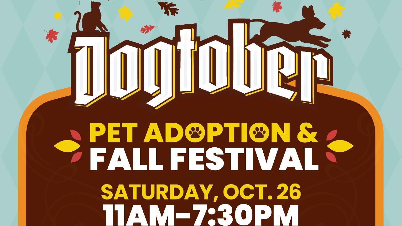 Dogtober Adoption Festival