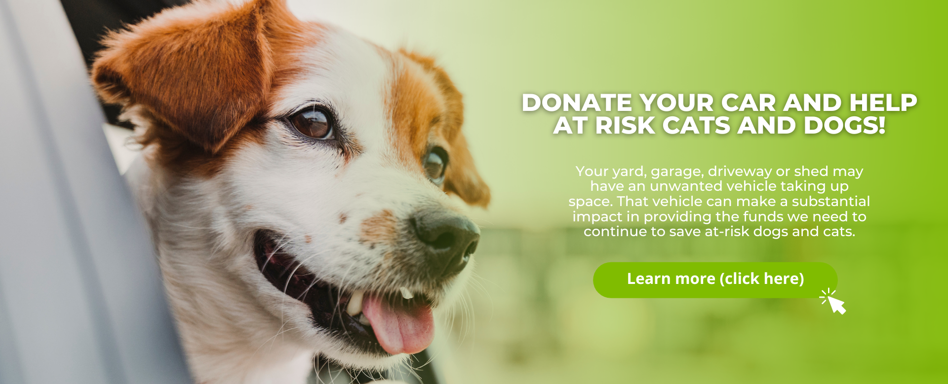 Donate your vehicle to San Antonio Pets Alive!
