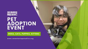 SAPA! Caturday - Cat & Kitten Adoption Event at Petco Ingram