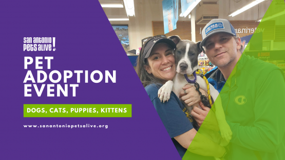 SAPA! Pet Adoption Event at Petco Bandera