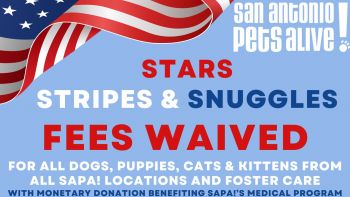 Stars, Stripes & Snuggles! - Waived Adoption Fee Special!