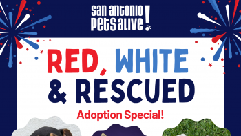 Waived Adoption Fees - Adopt a dog, puppy, cat or kitten for a donation amount of your choice!