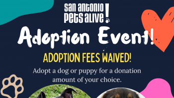 Waived Adoption Fees - Adopt a dog or a puppy for a donation amount of your choice!