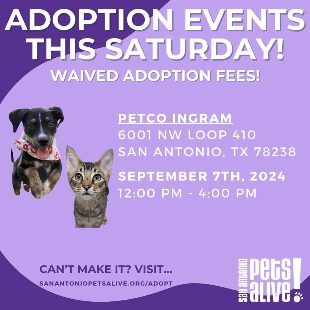 SAPA! Pet Adoption Event at Petco Ingram - Waived Adoption Fees!