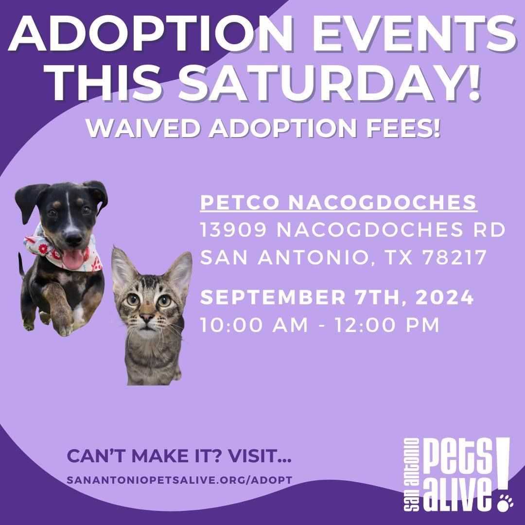 SAPA! Pet Adoption Event at Petco Nacogdoches - Waived Adoption Fees!