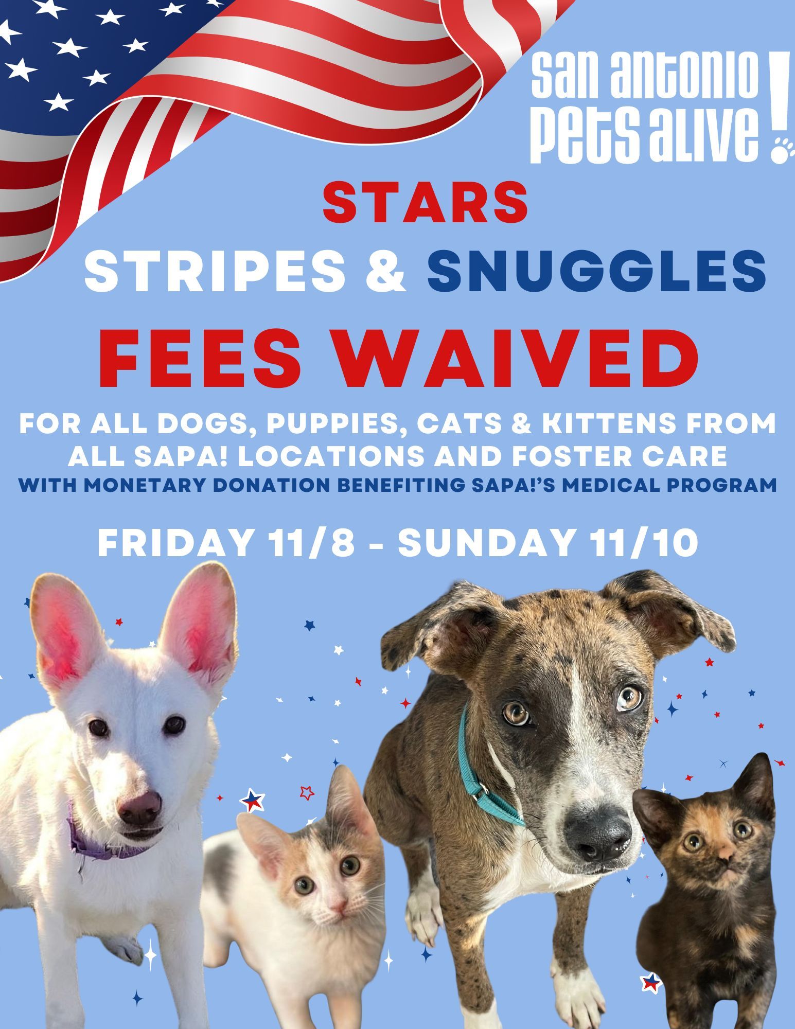 Stars, Stripes & Snuggles! - Waived Adoption Fee Special!