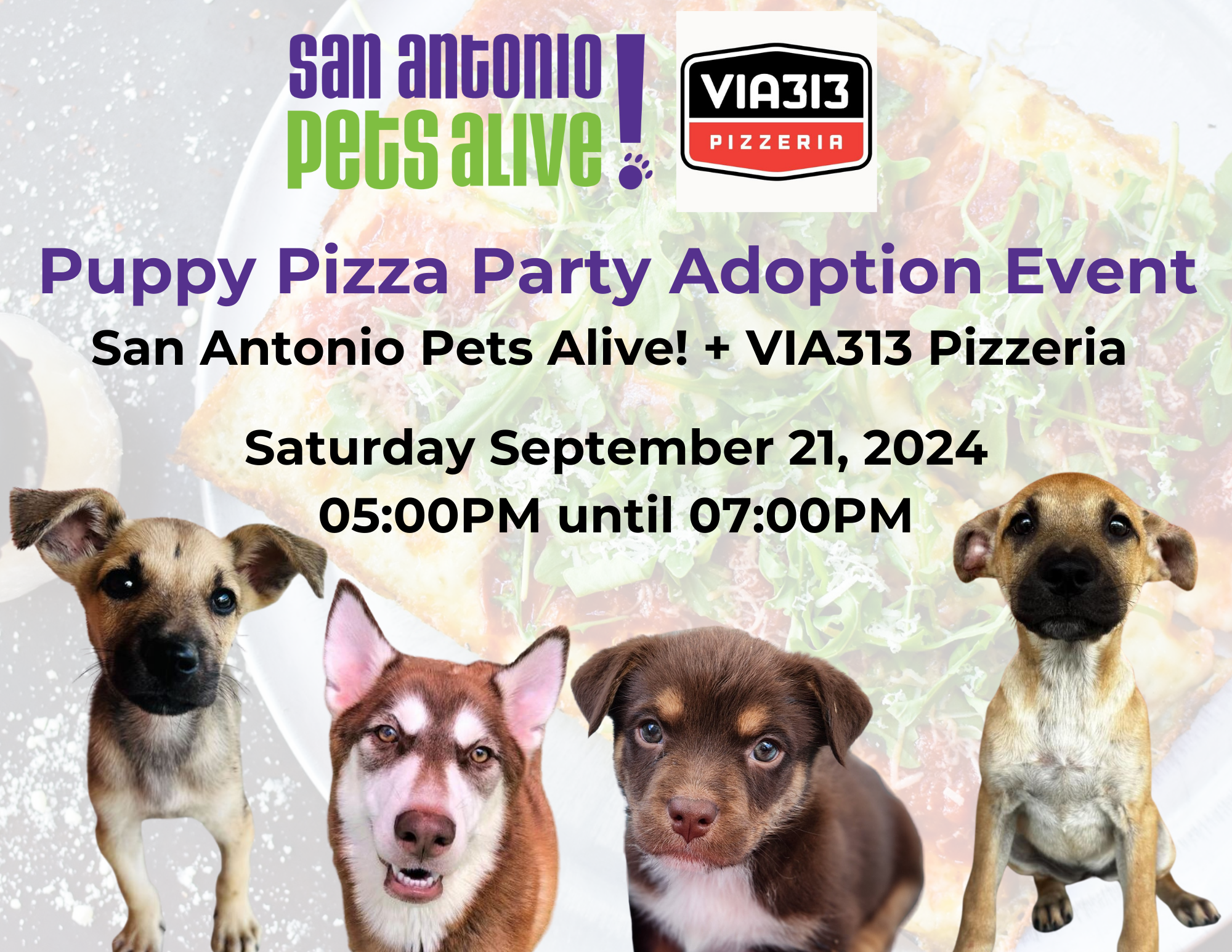 SAPA! Puppy Pizza Party - Adoption Event at VIA313