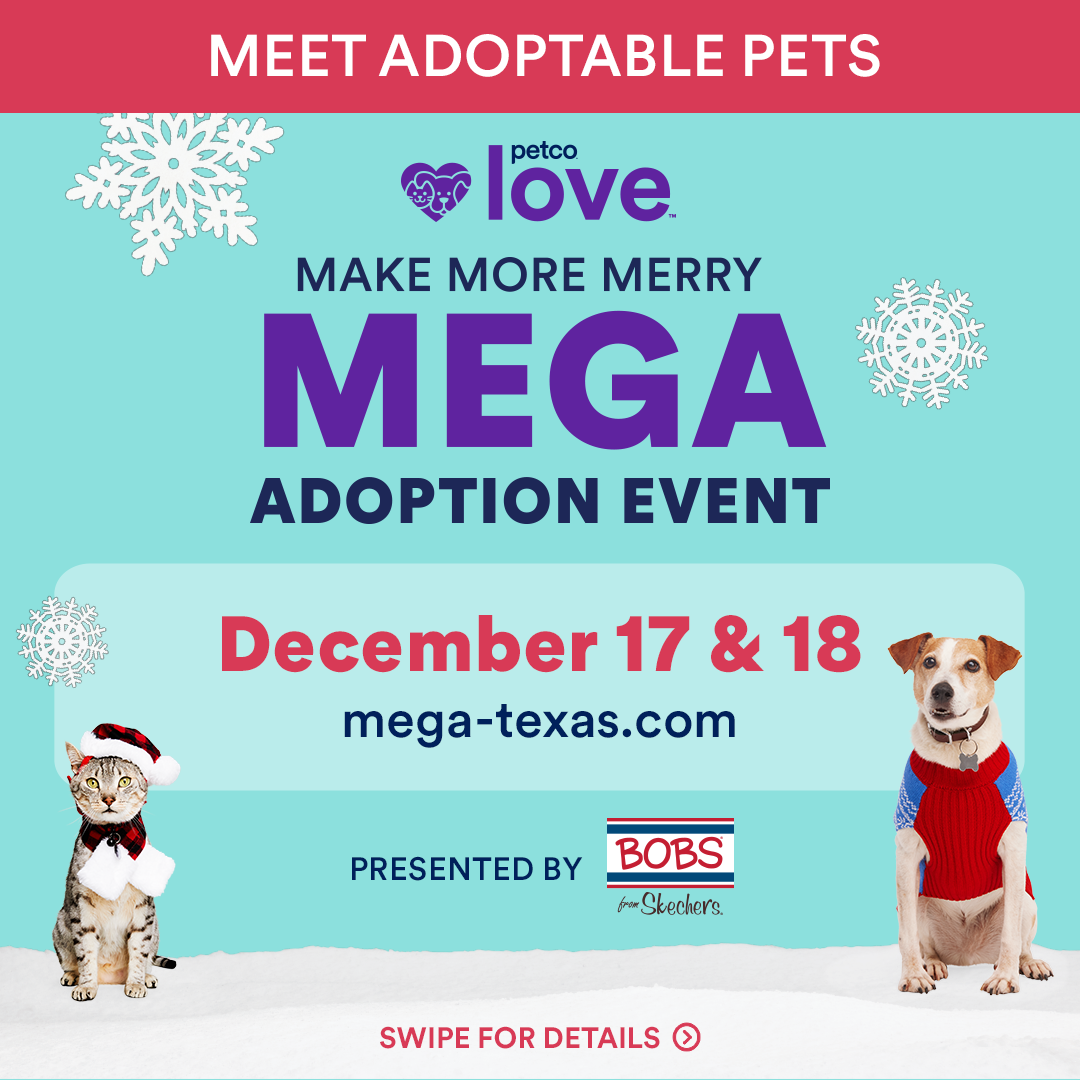can you adopt dogs at petco