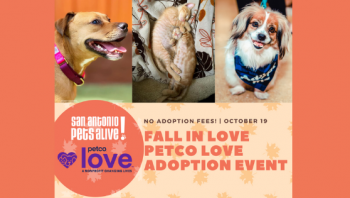 SAPA! Petco Love Adoption Event at Petco Ingram! - No Adoption Fees!