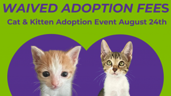 SAPA! Cat & Kitten Adoption Event- Waived Adoption Fees!