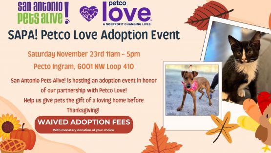 SAPA! Petco Love Adoption Event - Thanksgiving Special! Waived Adoption Fees!