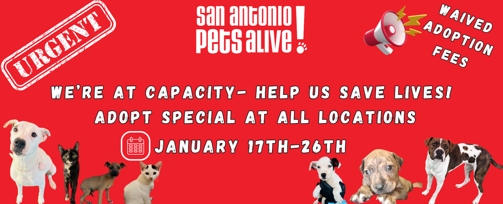 Urgent At Capacity Adoption Special