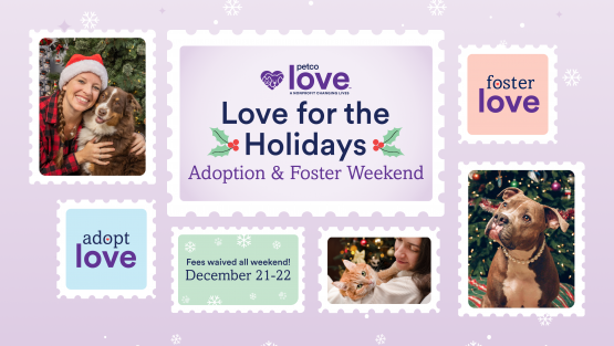 Love for the Holidays! Adoption & Foster Event!