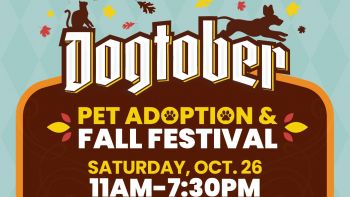 Dogtober Adoption Festival