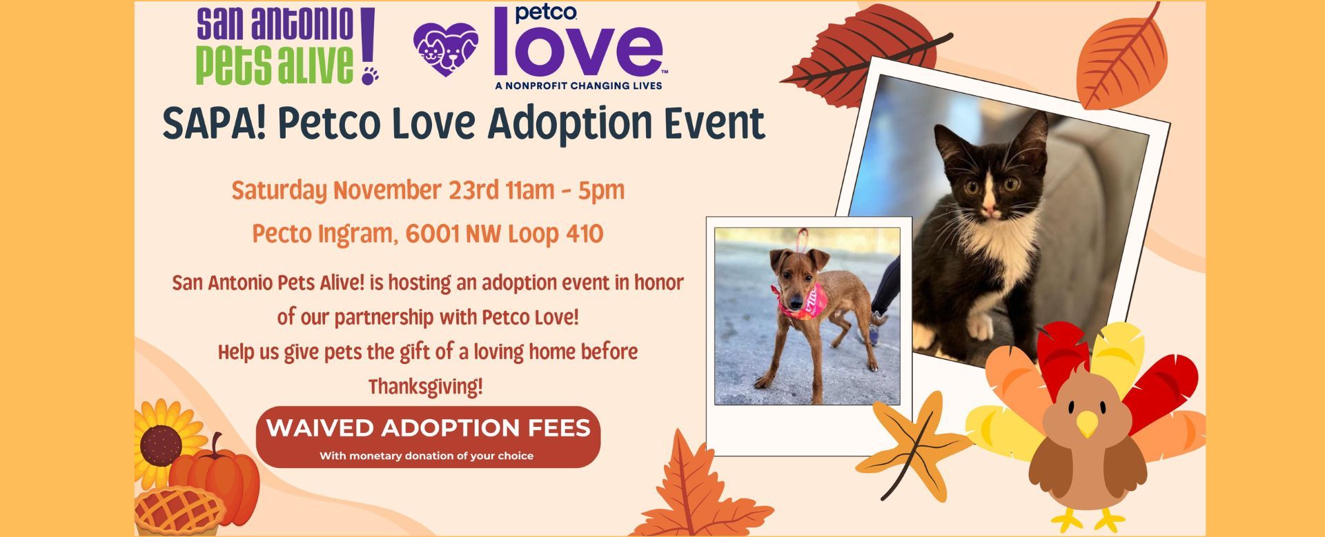 Petco Love Thanksgiving Special Adoption Event