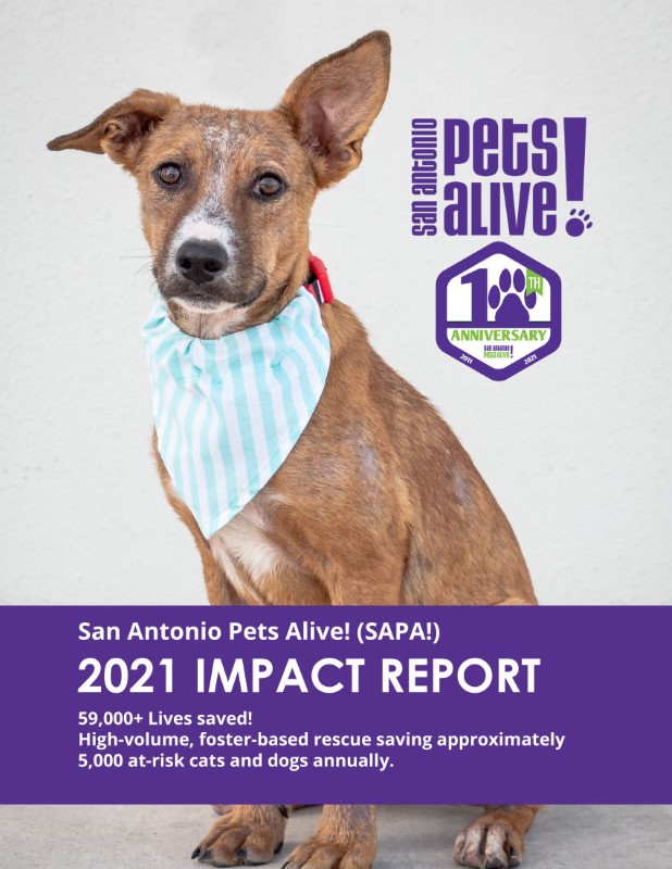 sapa-2021-impact-report