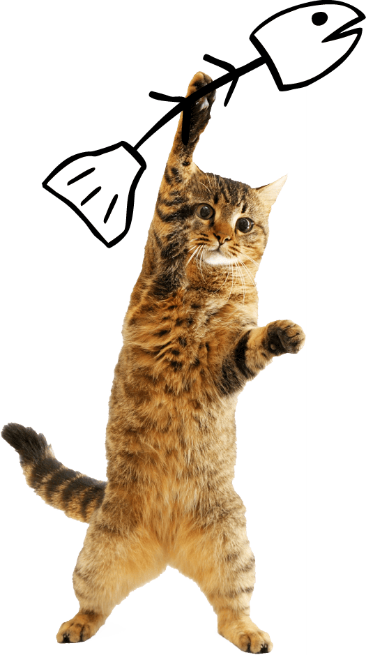cat-and-fish