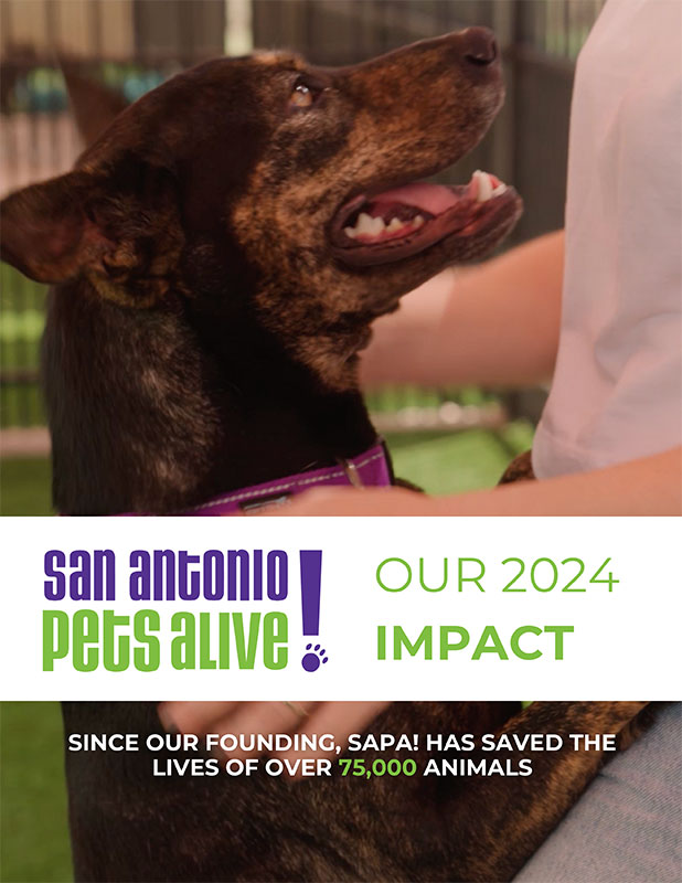 2024 Impact Report