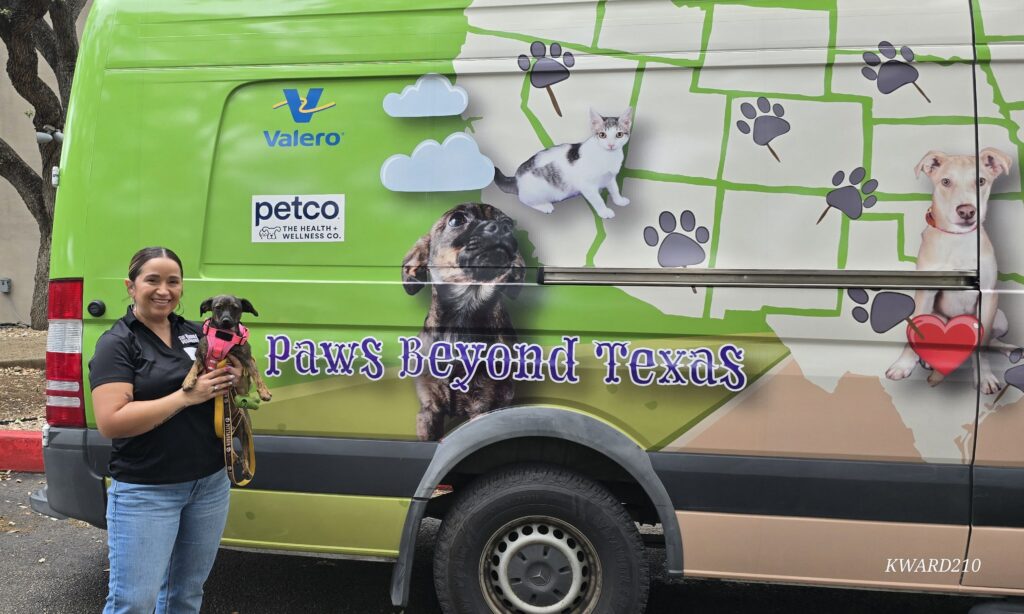 Female volunteer holds a small dog in front of the large Paws Beyond Texas transport van