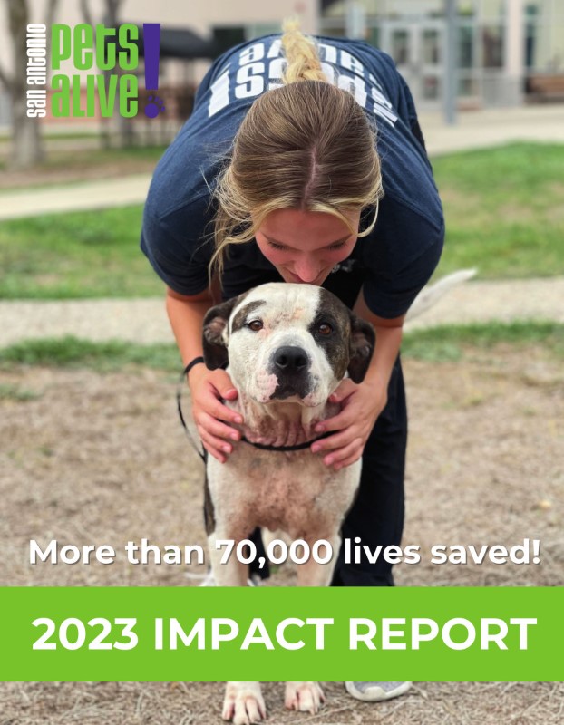 2023-SAPA-IMPACT-REPORT-cover