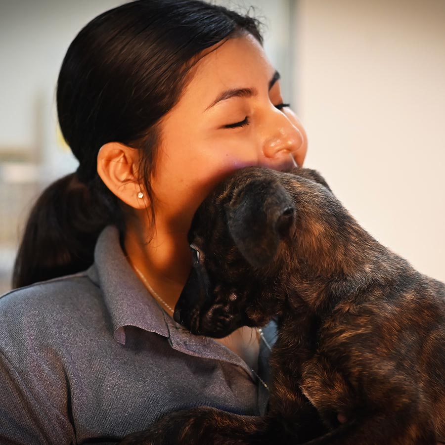 snuggle-service-feature snuggle-service-feature