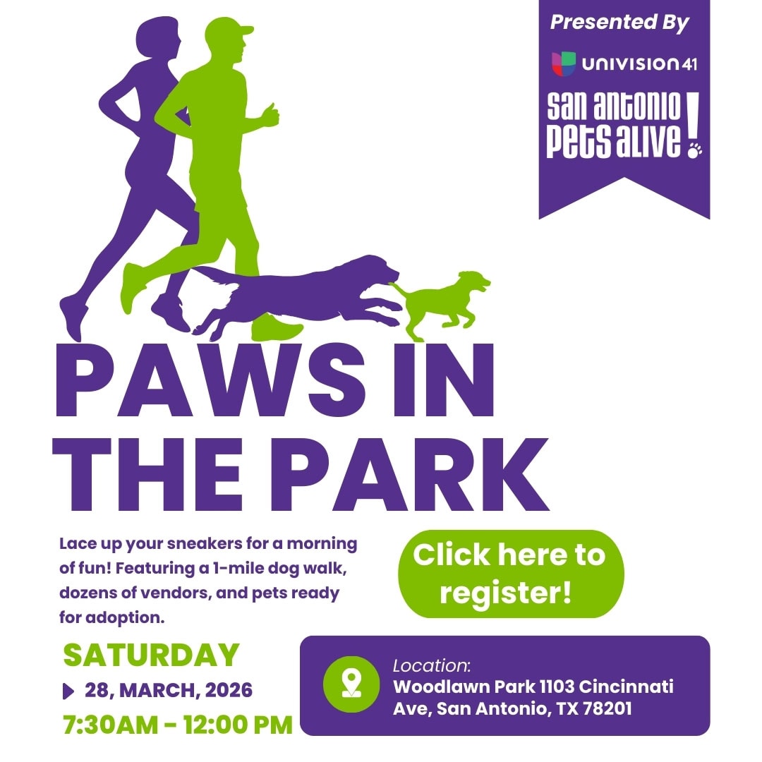 Paws in the Park event flyer with runners and dogs.