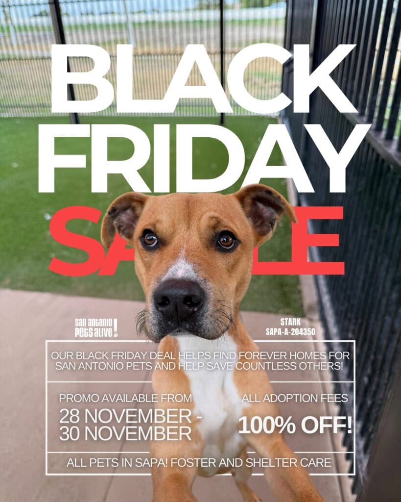 Black Friday adoption sale, all fees waived, November 28-30
