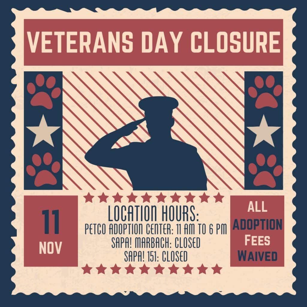 Veterans Day closure