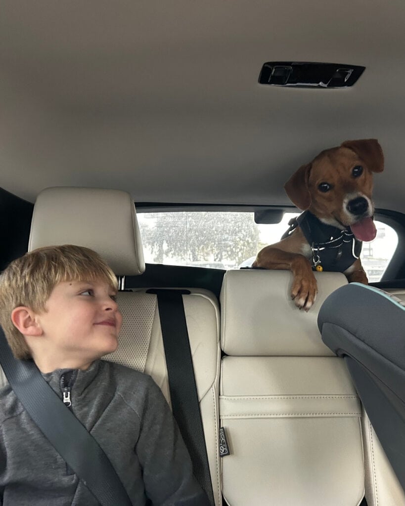 Child and dog in car, smiling together.