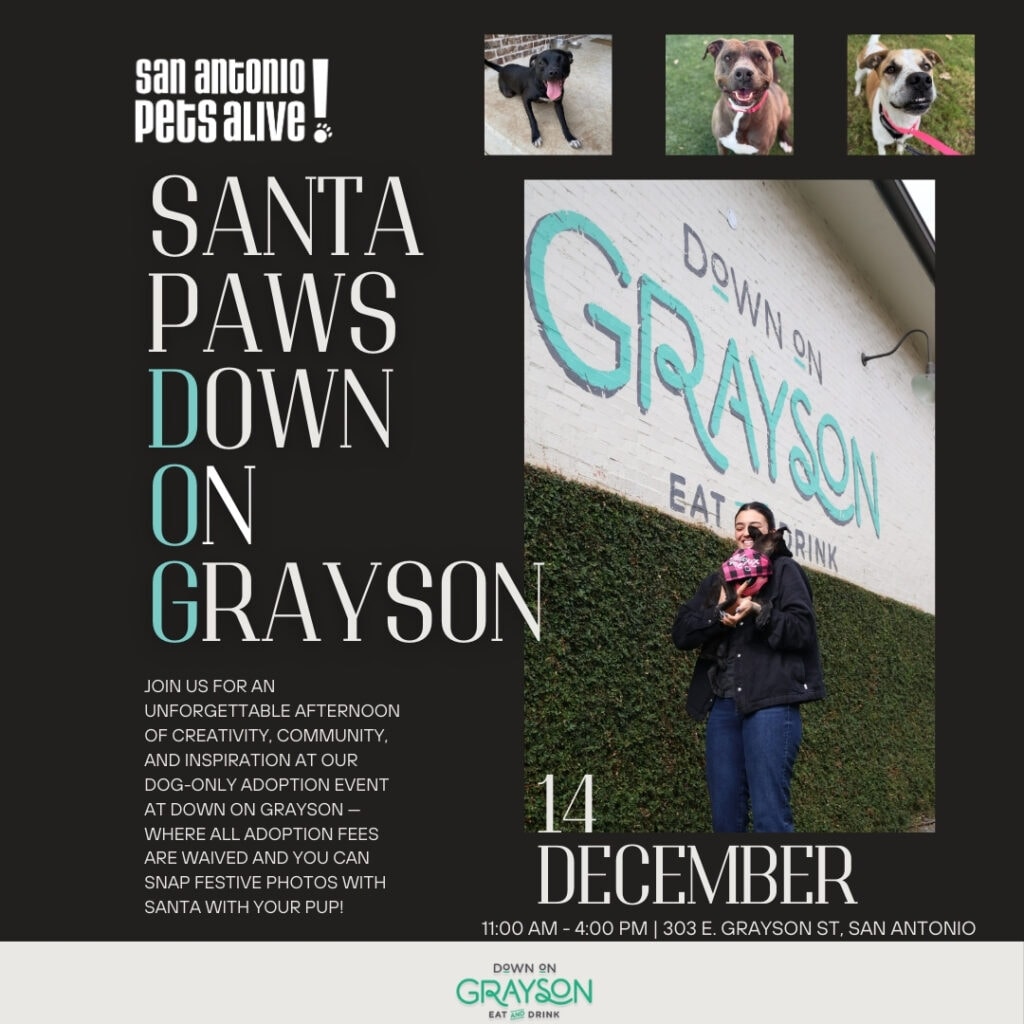 Dog adoption event at Down on Grayson, December 14.