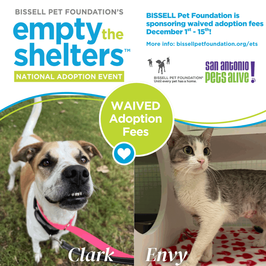 Empty shelters adoption event with waived fees.