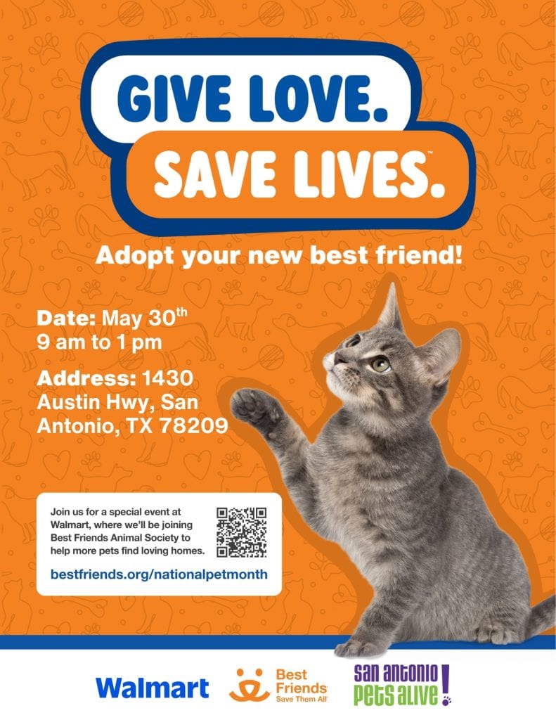 Walmart National Pet Month Flyer NP
