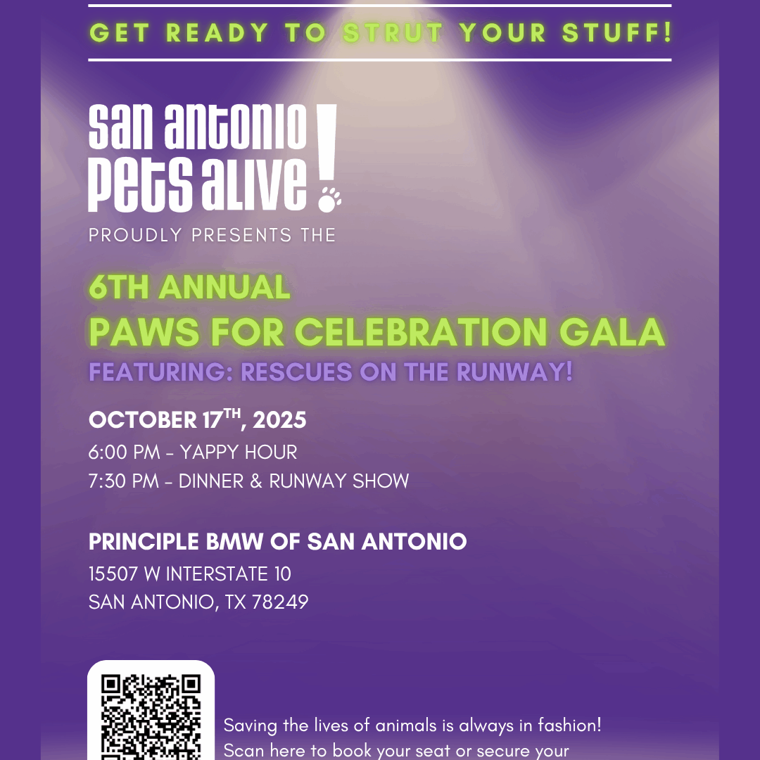 2025 paws for celebration std (instagram post (45))