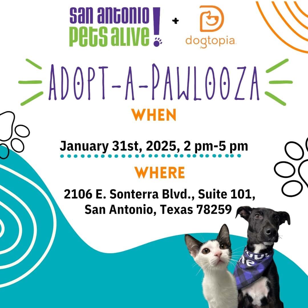 Adopt-a-Pawlooza event, 2025, San Antonio, Texas