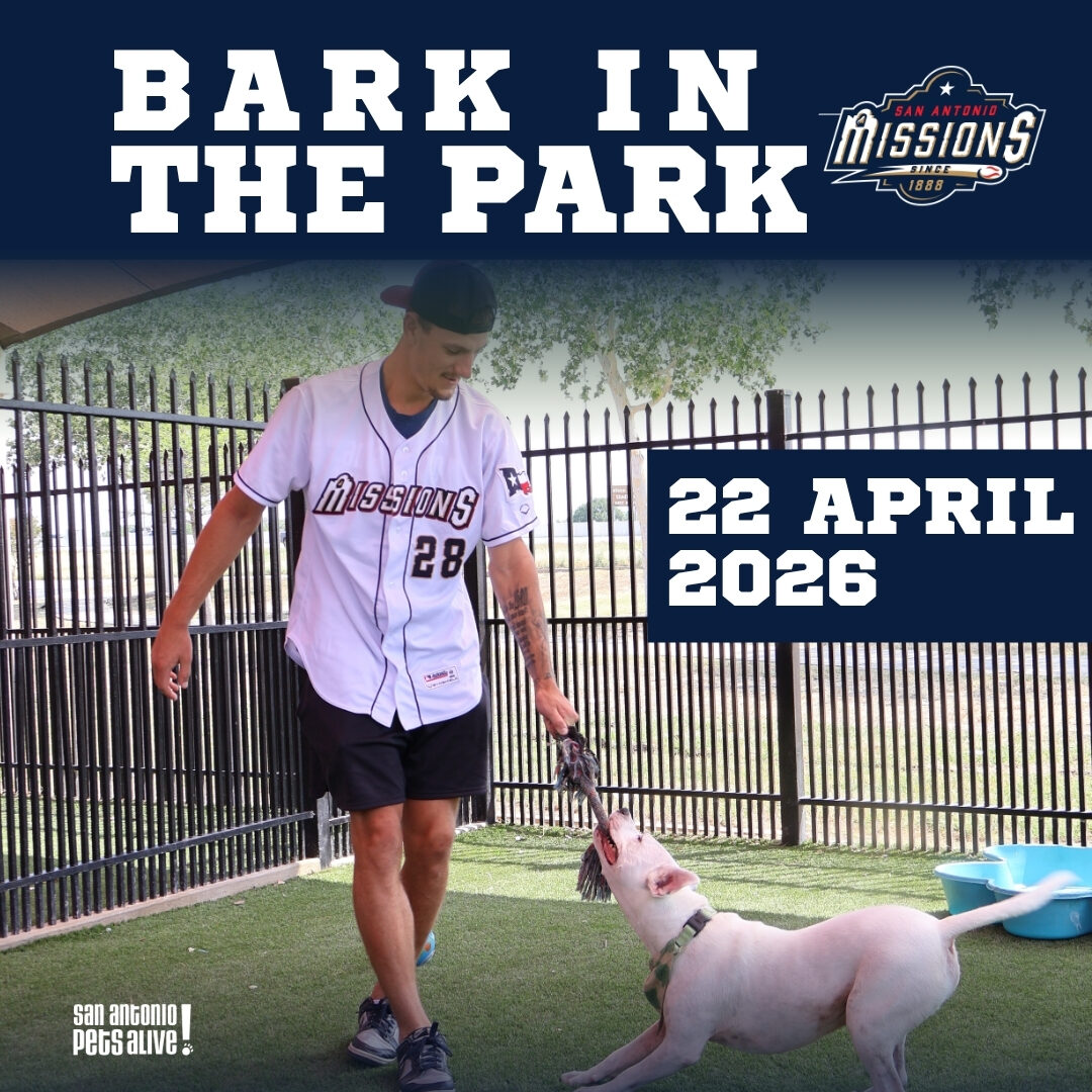 Bark in the Park Promotion (2)