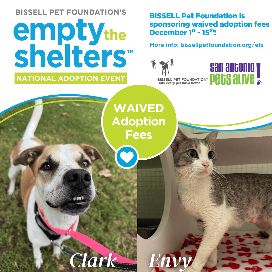 Bissell Pet Foundation adoption event with waived fees.