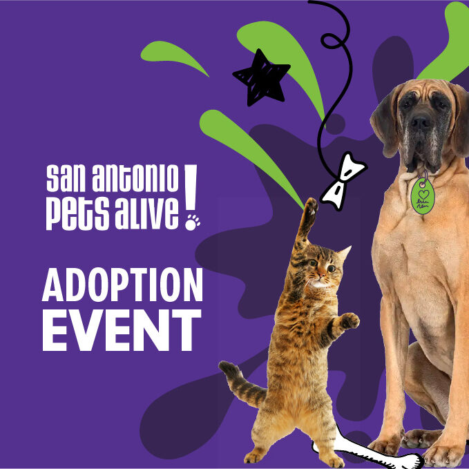 Featured image events adoptions