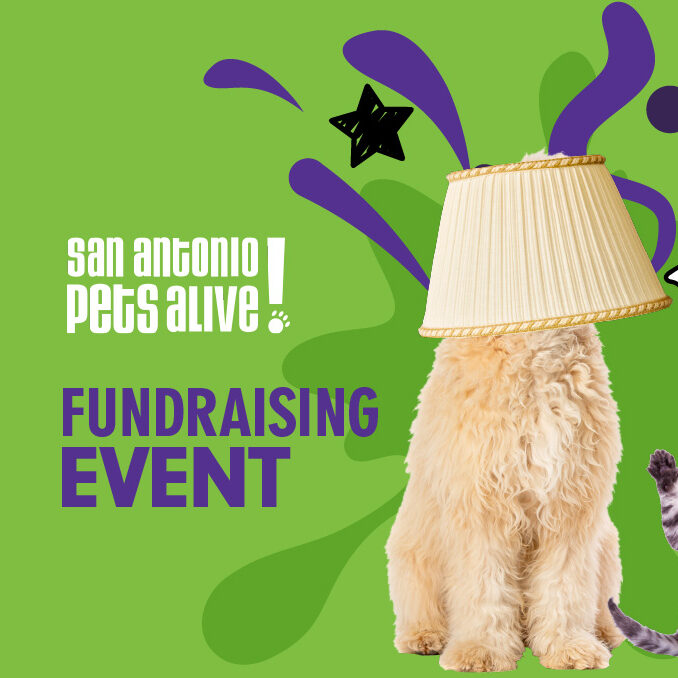 Featured image events fundraising