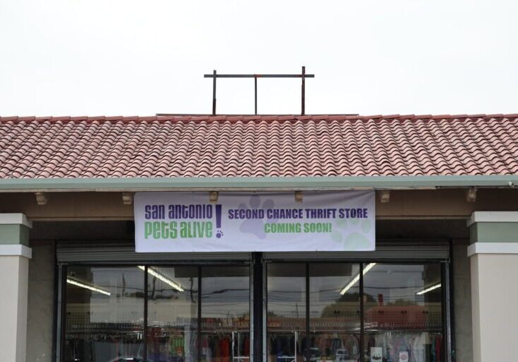 San Antonio Pets Alive thrift store opening soon.