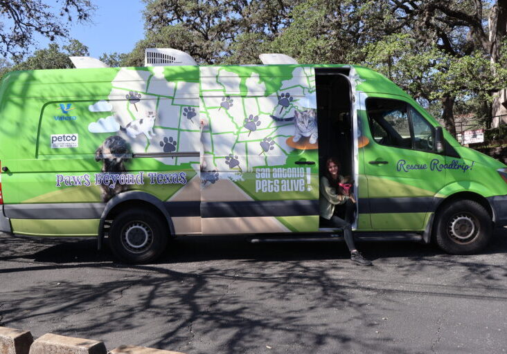 Green rescue van with animal graphics and logos.