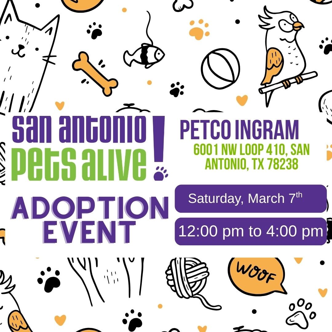 Petco Adoption social post (8)