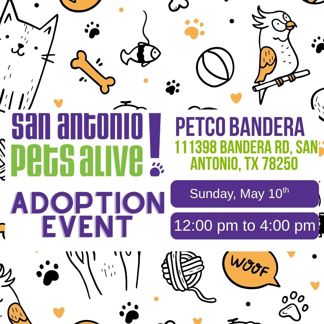 Petco Adoption social post (9)