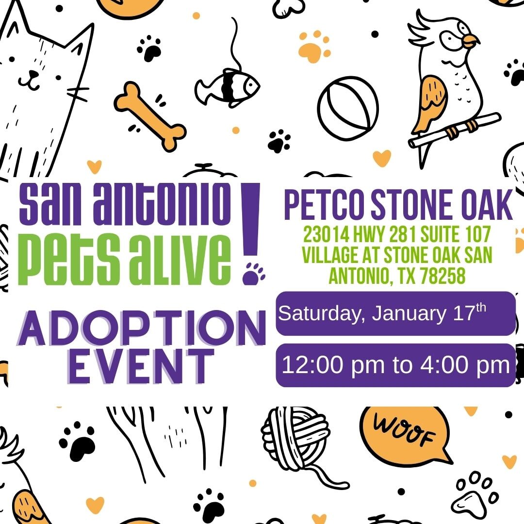 Pet adoption event poster with details and decorations.