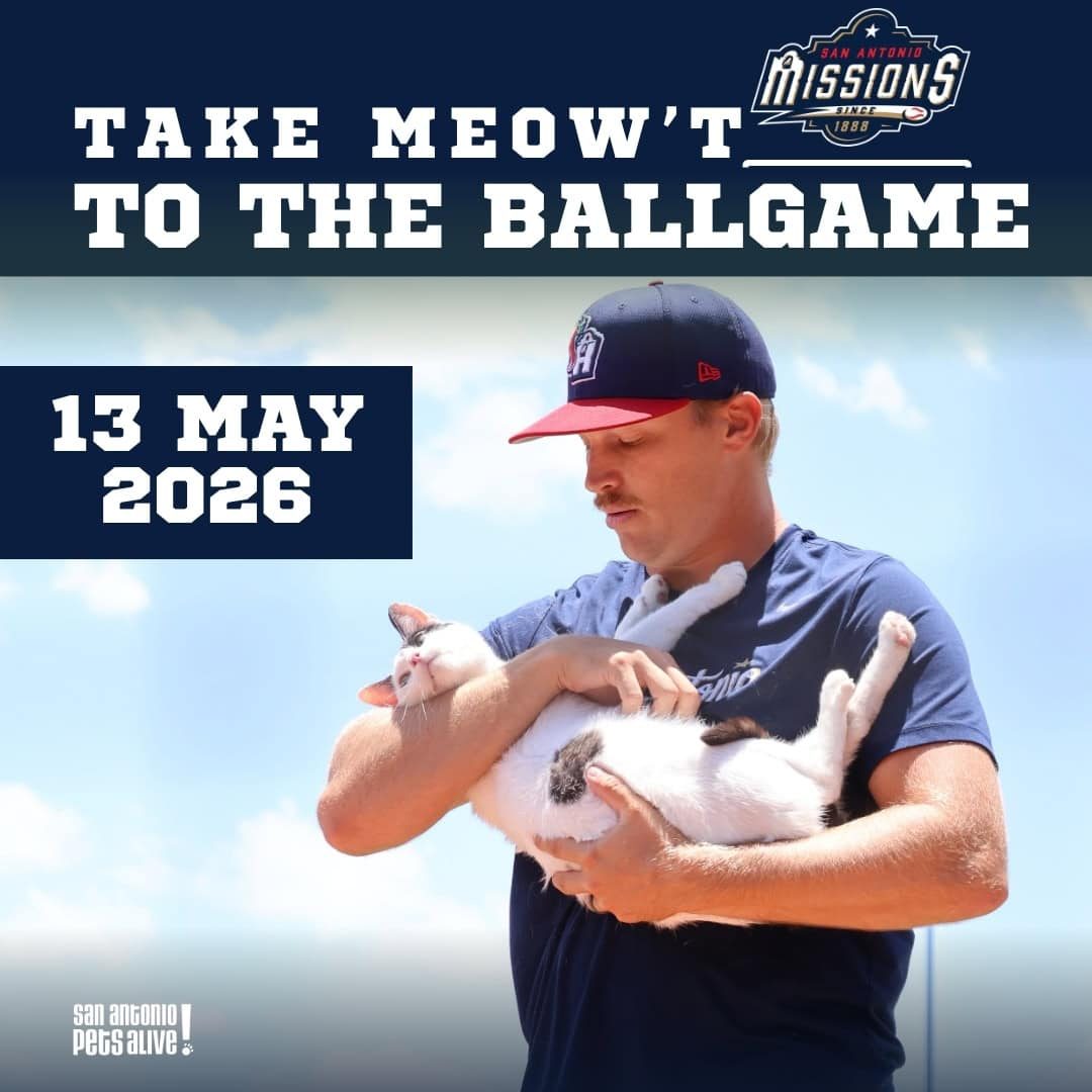 Take Meow't To the Ball Game Promotion (1)