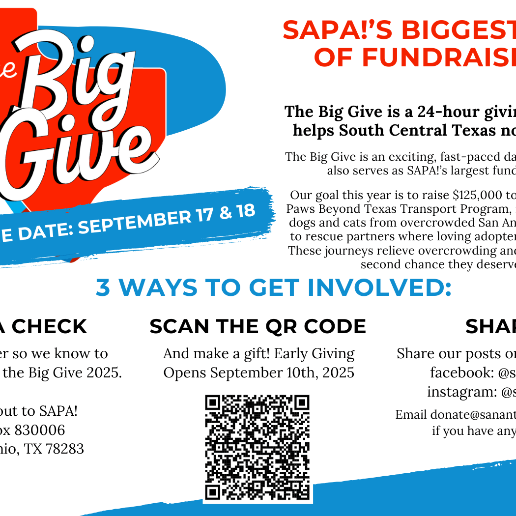 SAPA! fundraising event, The Big Give, September 17-18.