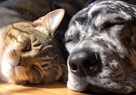 Untitled design (10)