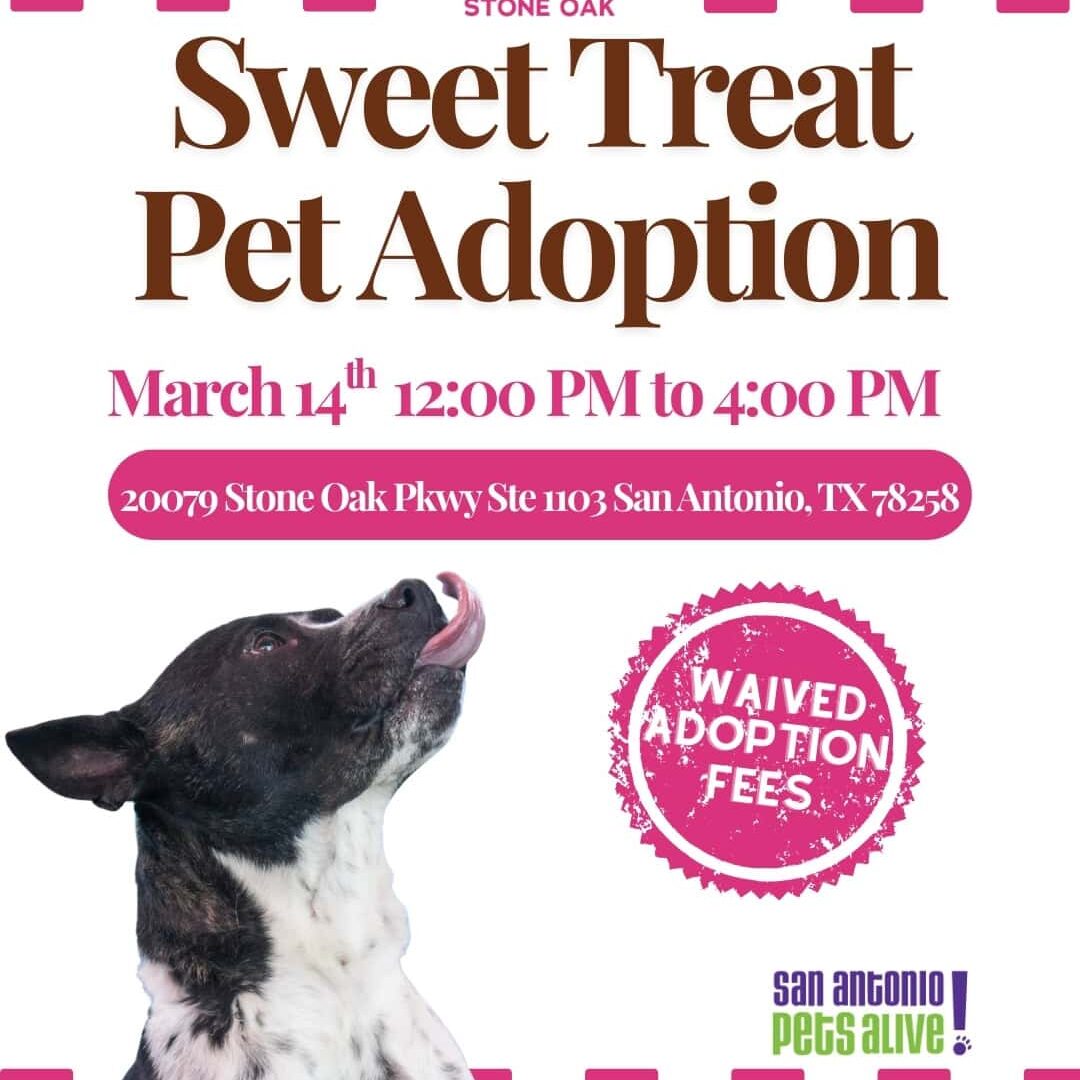 Woof Gang Adoption Flyer (1)